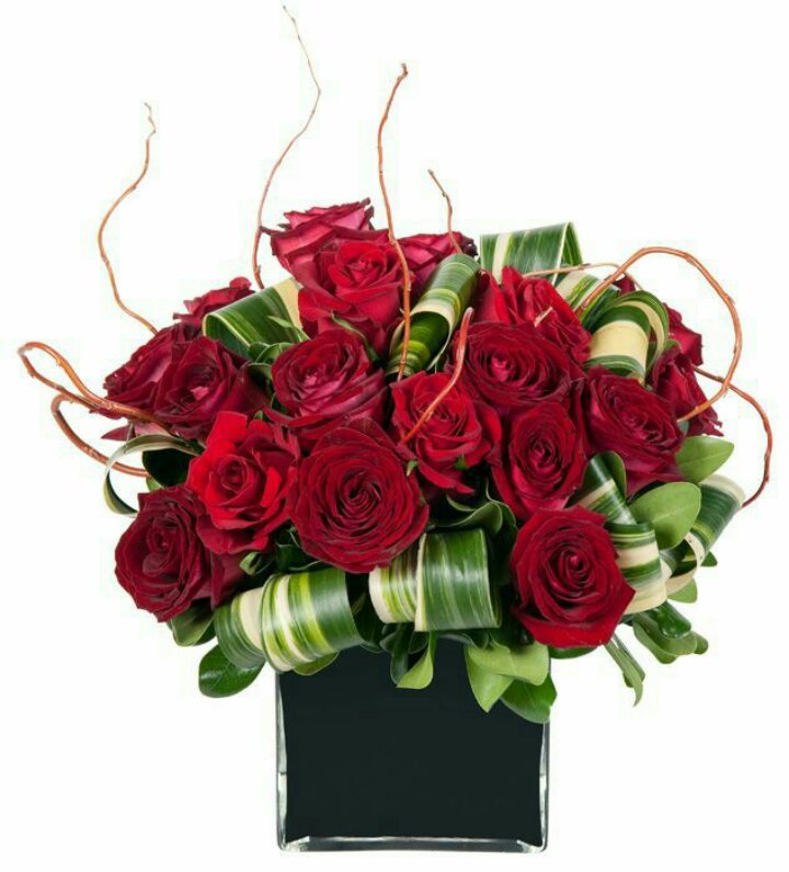 Romantic Red Roses