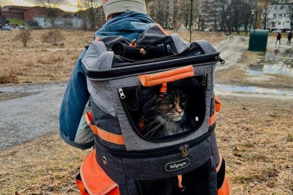 Dog Cat Hiking Backpack