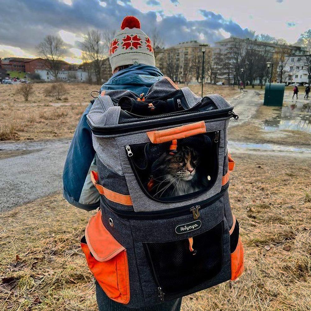 Dog Cat Hiking Backpack