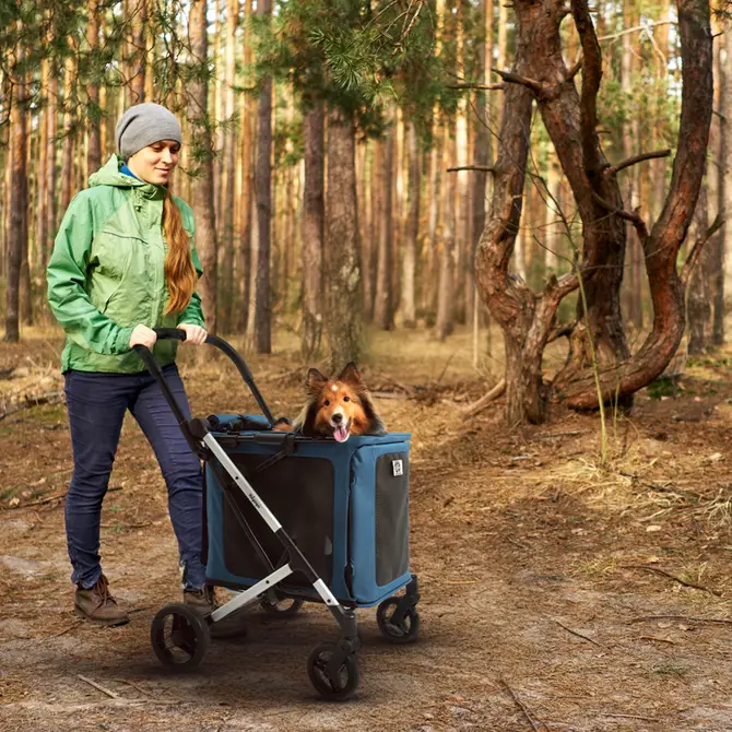 BigBuddy Pet Stroller and Crate Combo, 2-in-1 Collapsible Medium-to-Large Pet Wagon-Kennel for Cats and Dogs