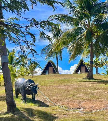 Why 𝐏𝐀𝐒𝐄𝐎 𝐝𝐞 𝐏𝐨𝐫𝐟𝐞𝐫𝐢𝐨 is an exciting camp site in Cebu