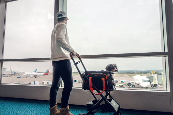 Airlines approved Pet Stroller and Carrier