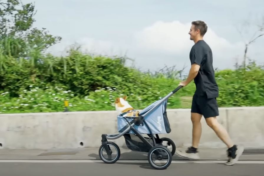 What are Best pet stroller 2025 consumer reports