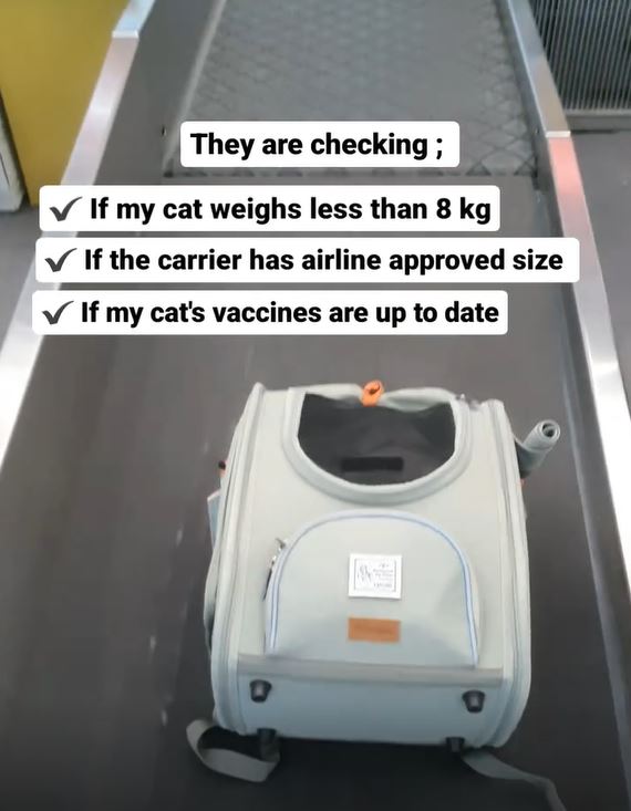 TSA approved cat carrier