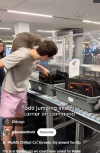 TSA approved cat carrier